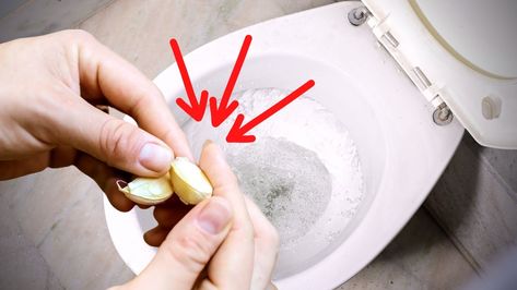 garlic clove in the toilet